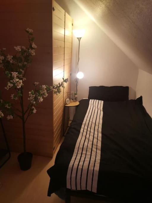 Wohnung Am Kurpark Mit Privater Innensauna & Led! Schluesselbox بوبارد المظهر الخارجي الصورة